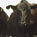 Poultry